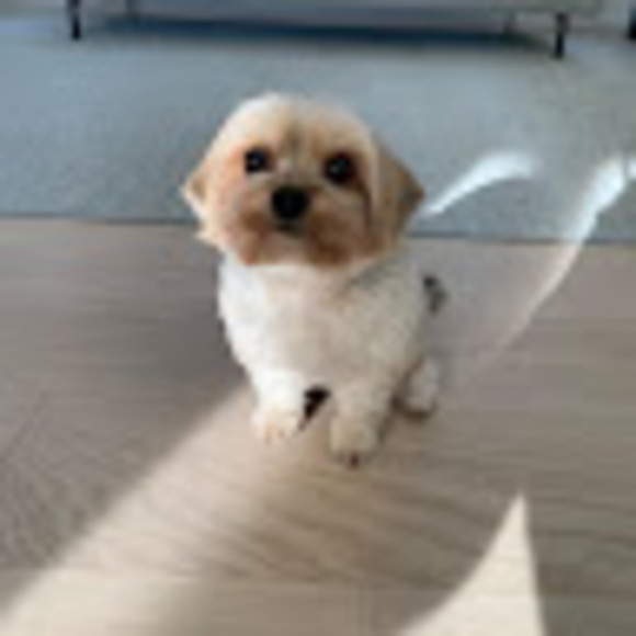 Meet your Posher, James - Picture 1 of 1